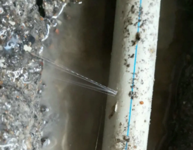 荆门测漏水哪家好