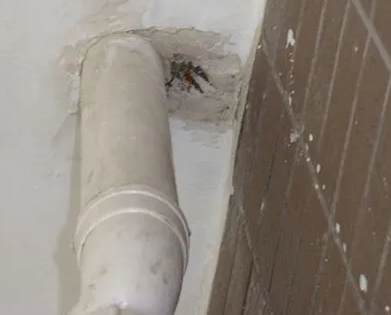 荆门漏水检测哪家好